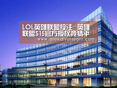 案例展示五