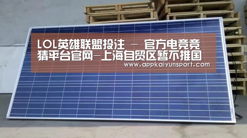 LOL英雄联盟投注 - 官方电竞竞猜平台官网