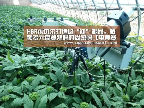 HBR虎贝尔打造必“冲”潮品,解锁多元摩登辣妈时尚密码【电竞赛事】(图1) LOL英雄联盟投注 - 官方电竞竞猜平台官网